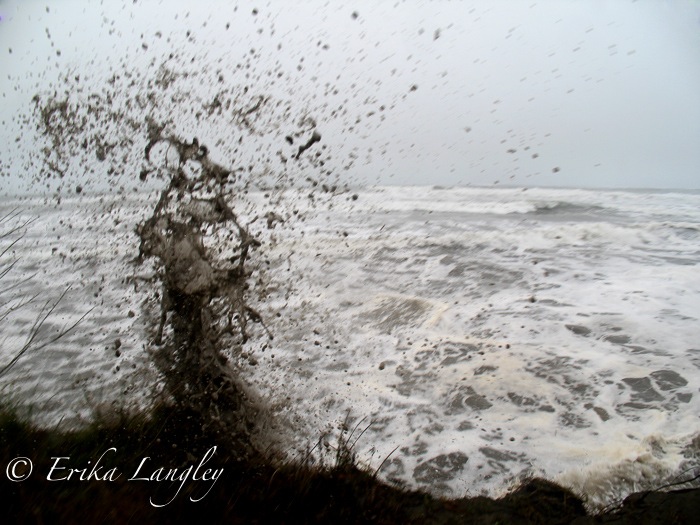 Black wave 2009, Washaway Beach