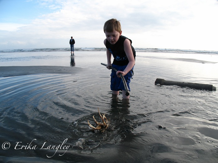 Boy and crab, Washaway Beach
