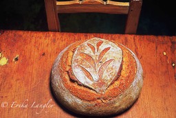 Rustic handmade bread