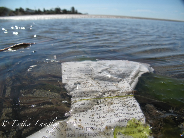 Underwater book, Washaway Beach