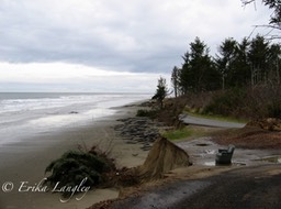 Washaway Beach chair